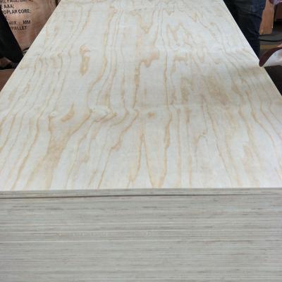 China Modern Radiata Pine Plywood For Funiture / Commercial Plywood With Pine C/D Grade Veneer for sale