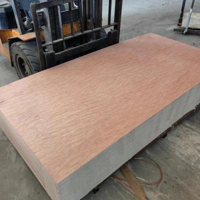 China Modern Bintangor BB/CC plywood poplar core/commercial plywood for sale