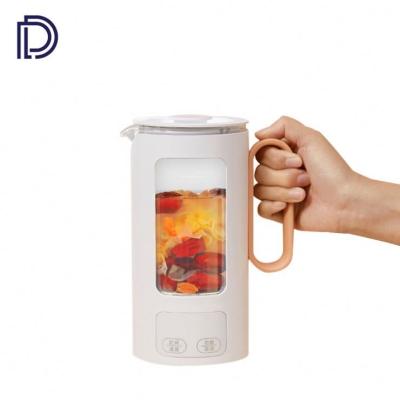 China Mini Multifuction Glass Factory Direct Sale Electric Kettle Kettle Health Home Pot for sale