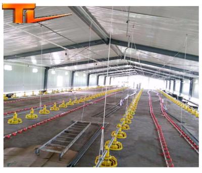 China Prefab Steel Structure Building Workshop Steel Structure Chicken House for sale