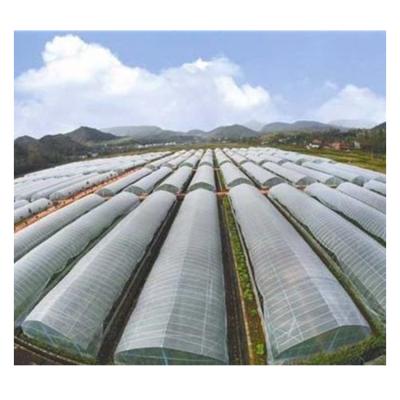 China Low Cost Easily Assembled Tunnel Greenhouse Galvanized Steel Frame Single Span PE Film Greenhouse For Agriculture / Flowers Plan for sale