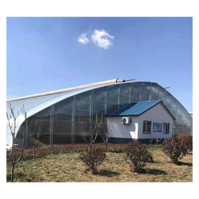 China Easily Assembled Low Cost Green House Single-Span Frame Commercial Greenhouses For Vegetables for sale