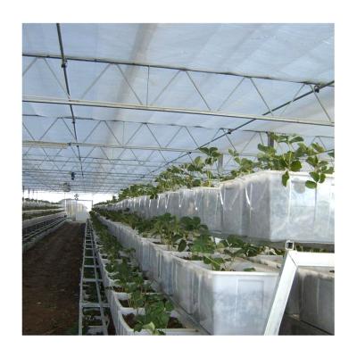 China Easily Assembled High Lifespan Professional Long Tunnel Greenhouse With Ventilation for sale