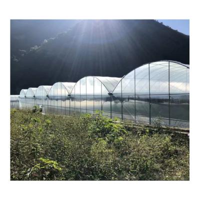 China Easily Assembled Cheapest Large Vanilla Grow Multi-span Agriculture Greenhouse for sale