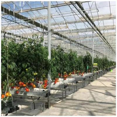 China Easily Assembled Hydroponic Agriculture Vegetable Systems Multi-span Greenhouse For Tomato for sale