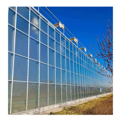 China Shouguang plant agriculture multi-span cheap easily assembled venlo type glass greenhouse for sale for sale