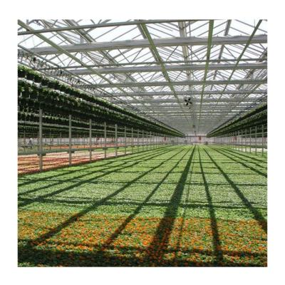 China Easily Assembled Easy To Install Mini Greenhouse Multi-span Polycarbonate Plastic Greenhouses For Agriculture for sale