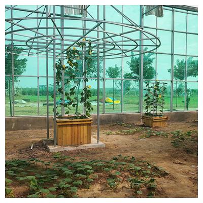 China Cheapest Easily Assembled Polycarbonate PC Sheet Glass Greenhouse With Hydroponics Grow System For Agriculture for sale