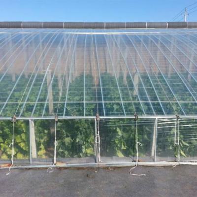 China Easily Assembled UV Protect Anti Aging Transparent Plastic Film For Greenhouse for sale