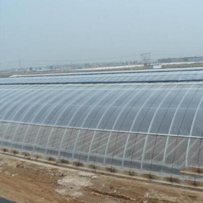 China High quality long service time pe greenhouse easily assembled transparent plastic sheet for sale