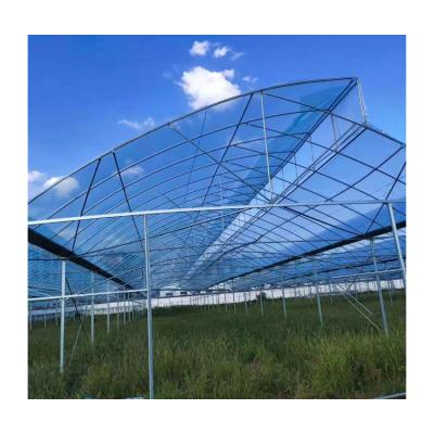 China High Quality High Tunnel Easily Assembled Customized Vegetable Agricultural Greenhouse for sale