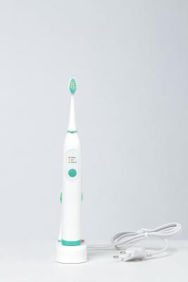 China Brands Oral Hygiene Dental Care Electric Toothbrush with Revolving Replaceable Tooth Brush TB-1034 With 4 Tooth Heads for sale