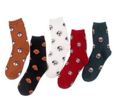 China QUICK DRY Spring and Autumn winter lady cartoon animal dog cotton lovely slouch socks for sale