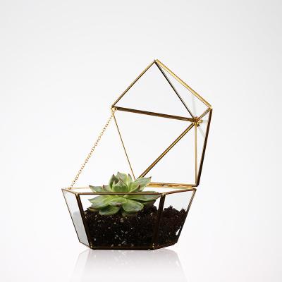 China Plantador de vidro dado forma Pentágono do Terrarium da planta de ar da vitrina da joia à venda