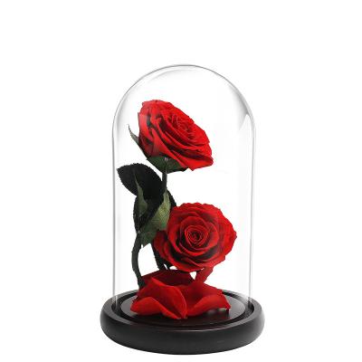 China Campana de cristal de cristal de la bóveda del claro del Borosilicate de la base D20 X H23cm del roble en venta