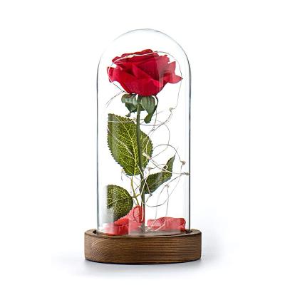 China Campana de cristal de cristal baja de madera de la bóveda del Borosilicate D12xH20cm del MDF en venta