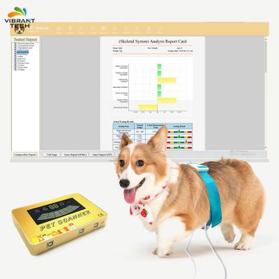 China Viable Most Popular Smart Health Analysis Software Packages Quantum Machine For Dog , Cat for sale