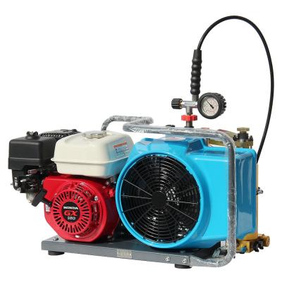 China DMC air compressor portable industrial piston lubricated diving air compressors for sale 250L for sale