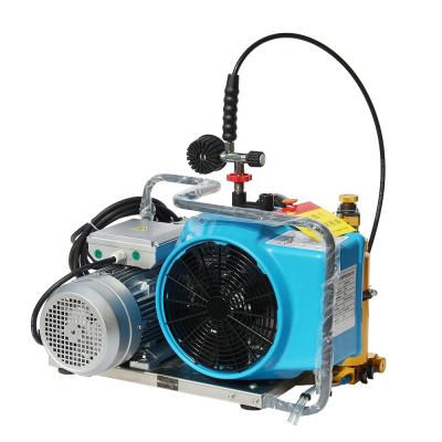 China DMC 300bar 4500psi 5.2cfm 9m3/h 150L/min Lubricated High Pressure Air Compressor for Diving for sale