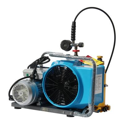 China DMC 300 Bar 4500psi Lubricated Breathing High Pressure Scuba Diving Portable Air Compressor for sale