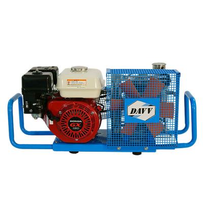 China DMC OEM High Quality Lubricated Portable Scuba Piston Air Compressor for sale