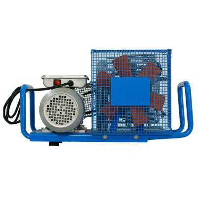 China DMC Cheap Belt Drive Piston Lubricated 300bar Portable Air Compressor Scuba for sale