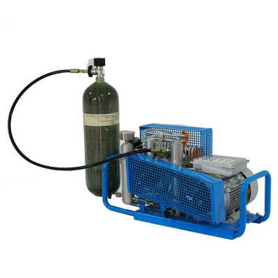 China DMC Lubricated Industrial High Pressure Scuba Blast Air Scuba Tank Compressor for sale