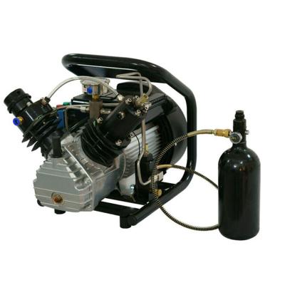 China DMC 220V 4500 PSI 300 Bar Lubricated Automatic Stop PCP Air Compressor Paintball Wholesale for sale