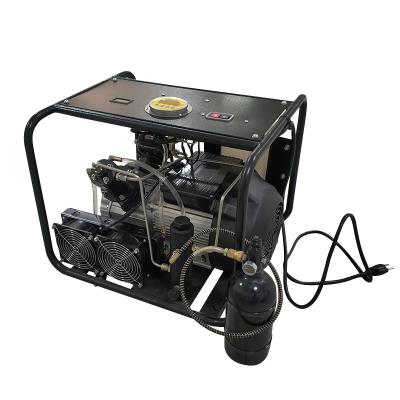 China 4500psi 300bar 220V PCP Pump Scuba Lubricated Air Compressor For Pneumatic Gun for sale