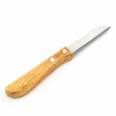 China Sustainable Fruit Paring Knife Portable Kitchen Knife With Non-slip Wooden Handle for sale