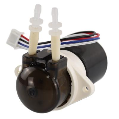 China Mini Dimension OEM DC 3v 6v 12v 24v Compact Micro Peristaltic Pump Brushless for sale