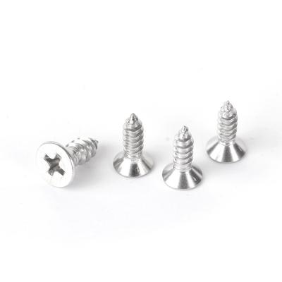 China Hot Sale Stainless Steel Tapping Screw M2 Flat Screw for sale