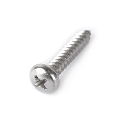 China Pan Head Stainless Steel Self Tapping Screw Pan Dongji Big Promotion Zinc Self Tapping Screw for sale