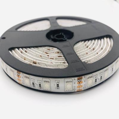 중국 110v led strip lights white 6500K and warm white 3000K color changing IP65 Waterproof  CE RoHS ETL SAA 판매용