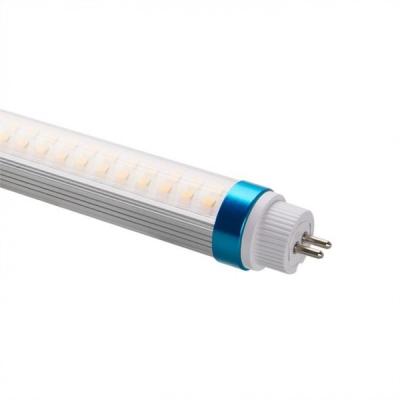 China Tubo de T5 LED que enciende los bulbos llenos 3000K 4000K 5000K 6000K del espectro LED en venta