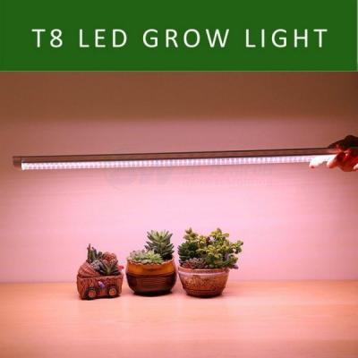 China La planta de T8 LED crece luces en venta