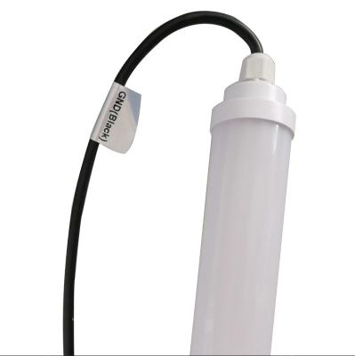 Cina Pollame di DC12V LED che accende la luce fluorescente di 5ft che misura alta sicurezza in vendita