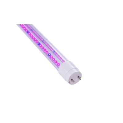 China Luces azules rojas de T8 los 4ft LED para las plantas con la certificación de RoHS en venta