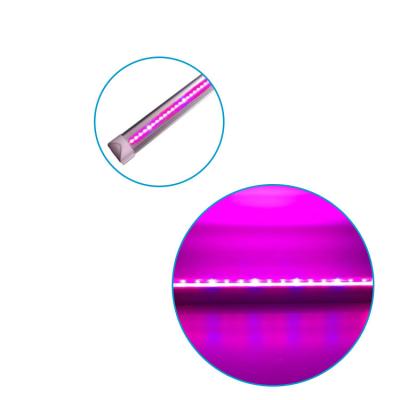 China Anlage Wechselstroms 277V hoher Helligkeits-LED wachsen Licht-volles Spektrum für Kraut zu verkaufen