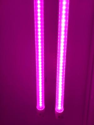 China AC 85V LED Plant Grow Lights for sale