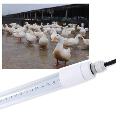 China AC 85V Chicken Coop LED Light for sale