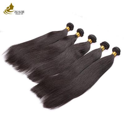 China 100% de cabello brasileño sin procesar en venta