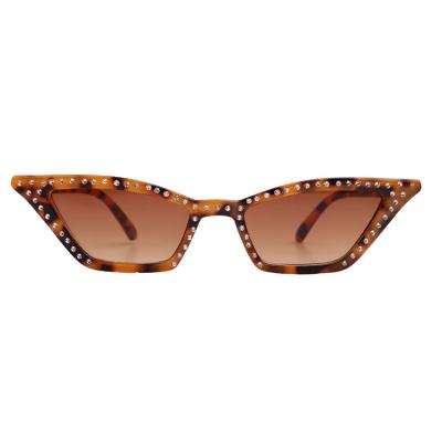 China Fashion Sunglasses Shape Fashion Sunglasses Small 2019 Women's Sunglasses for sale