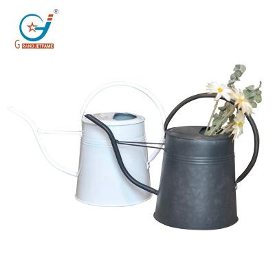 China Simple Galvanized Decorative Sprinkler Box Farmhouse Style Watering Can for sale