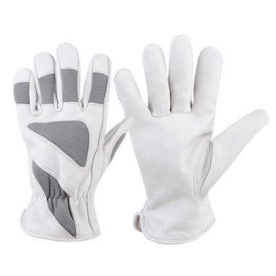 China OEM Eco-friendly Logo First Layer Whip Small Leather Wholesale Gardening Mechanical Gloves Work Safety Gloves for sale