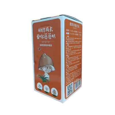 China Recyclable Custom Color Printing Rectangle Box Packaging Paper Cereal Box Package for sale