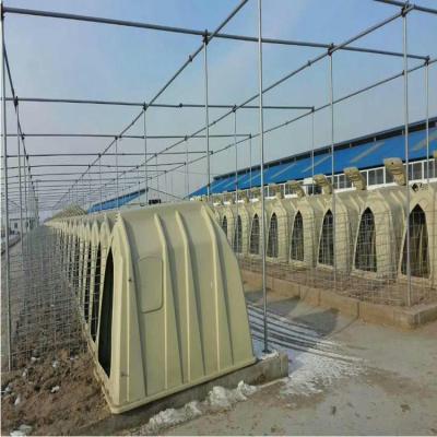 China Cow / Livestock Factory Price Calf Cage Calf Hutch for sale