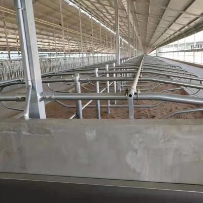 China Easily collected good quality cattle stalls for sale for sale