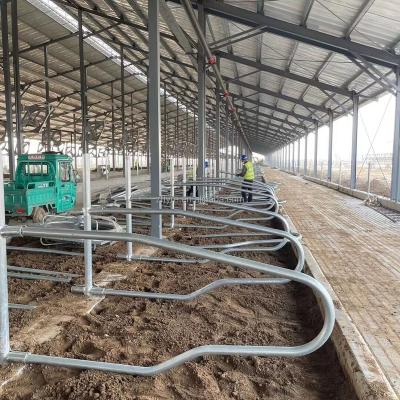 China Easily Assembled Galvanized Comfortable Hot Dip Dairy Cow Stalls Cow Compartments For Sale for sale