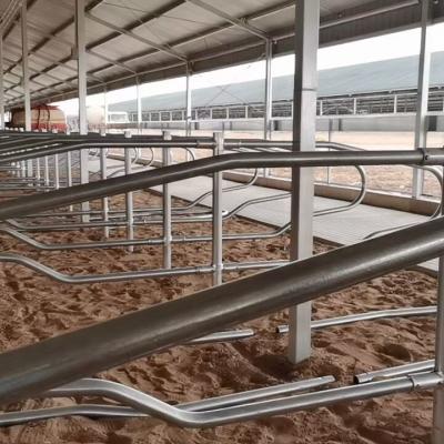 China Easily Assembled Cattle Cattle Strength Collar For Sale Cow Free Stalls for sale